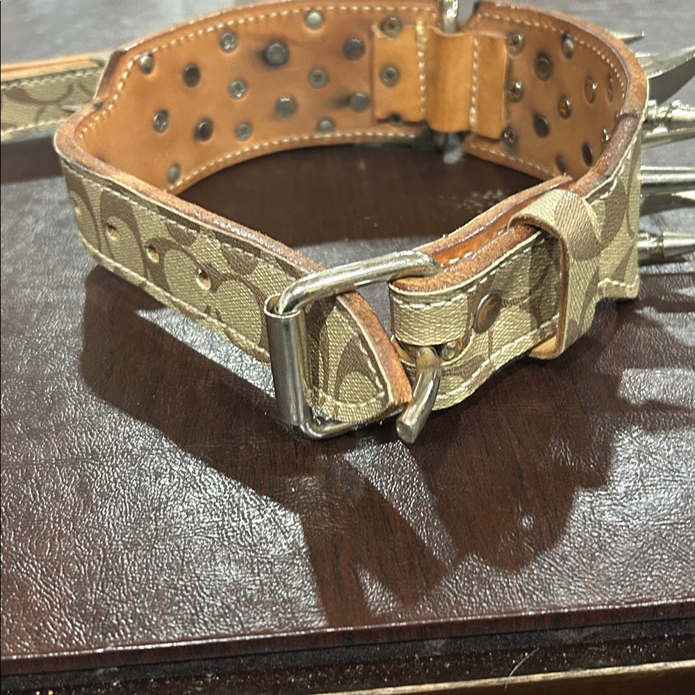 Custom leather heavyweight Dog collar! - Picture 4 of 8